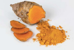 Amba Haldi 