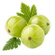 Amla