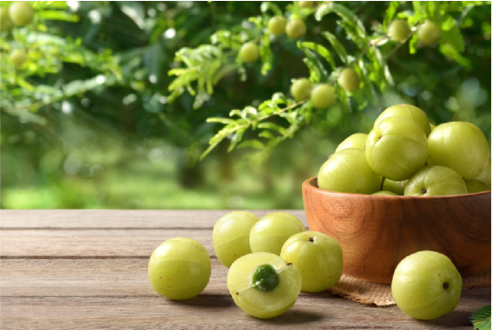 Amla