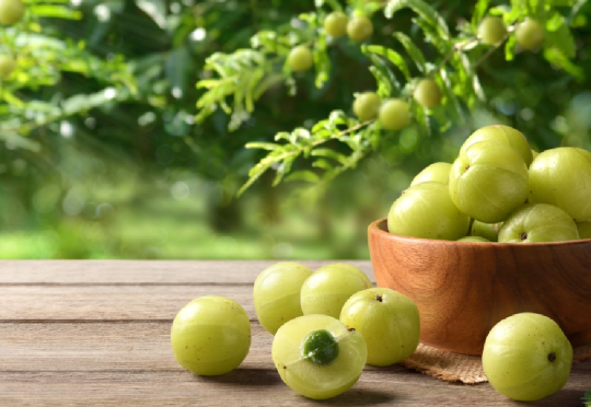 Amla