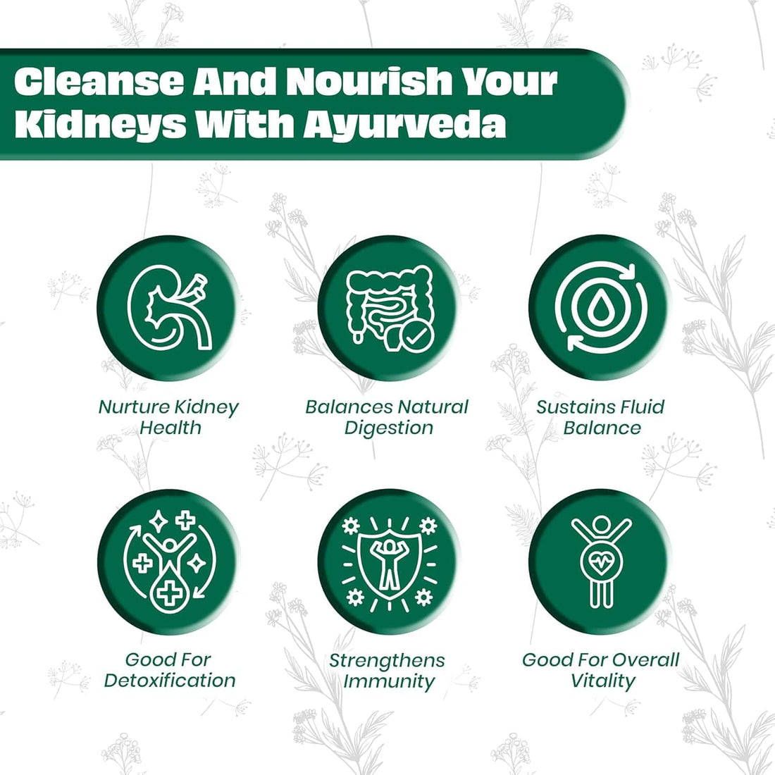 Kidney Care for detox, digestion and fluid balance