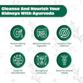 Kidney Care for detox, digestion and fluid balance