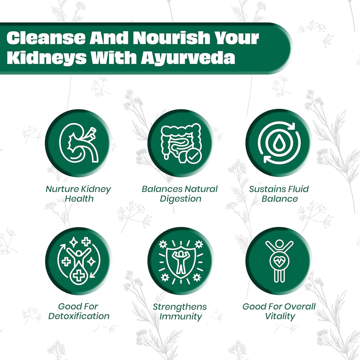 Kidney Care for detox, digestion and fluid balance