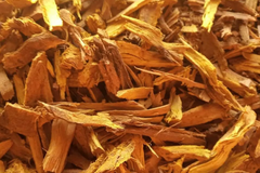 Daru Haldi