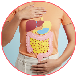 Digestive Care