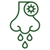 Encourages Respiratory Health