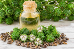 Erand Oil