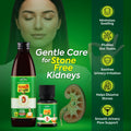 Kidney Care Support for Smooth Urinary Flow