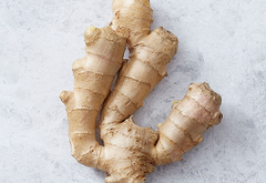 Ginger
