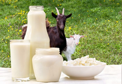 Goat Milk