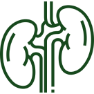 Good for Kidney Health