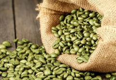 Green Coffee Bean