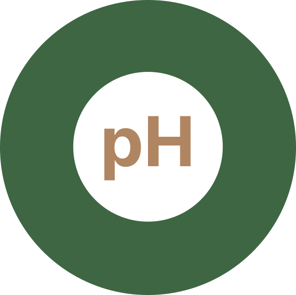 Balances pH Level