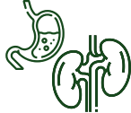 Supports Kidney & Liver Health