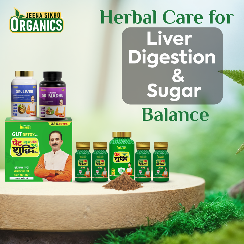 Gut Detox Kit with Liver & Sugar Balance Combo | Pet Yakrit Pleeha Kit + Dr. Liver + Shuddhi Dr. Madhu Care | With Amla, Giloy, & Gudmar | For Digestion, Metabolism & Liver Health