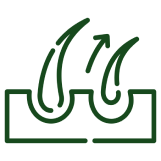 Supports Hair Growth