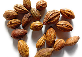 Haritaki (Terminalia chebula)