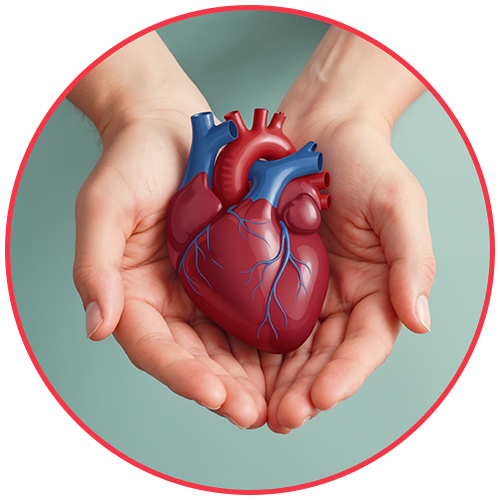 Heart Care