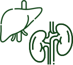 Helps with Kidney & Liver Health