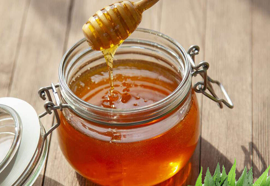Honey