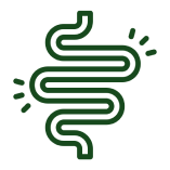  Improves Bowel Movements