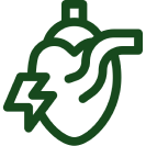 Improves Heart Wellness & Circulation