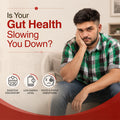 Gut Health support for digestion energy mood balance