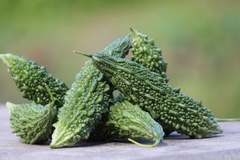 Karela