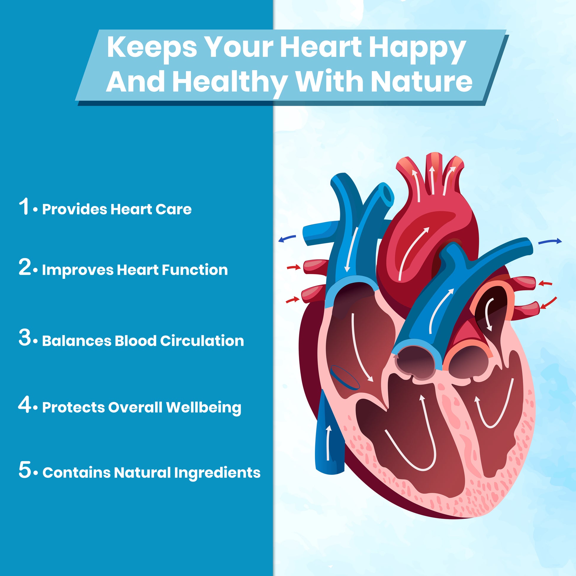 Heart Care support with circulation function wellness points
