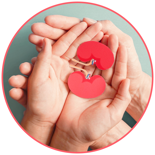 Kidney Care