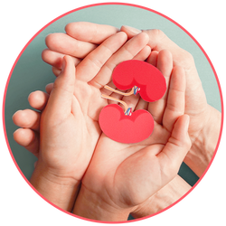 Kidney Care