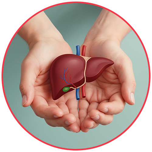 Liver Care