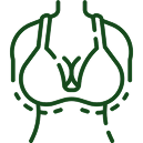 Maintains Breast Firmness