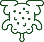 Maintains comfort in fungal-prone spots