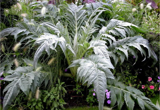 Makardhwaj, Bhasmas & Silver Leaf