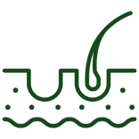 Improves Scalp Health