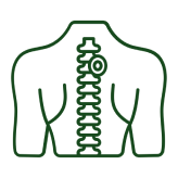 Improves Spinal Health