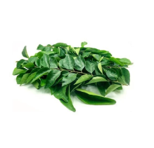 Neem