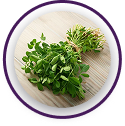 Methi