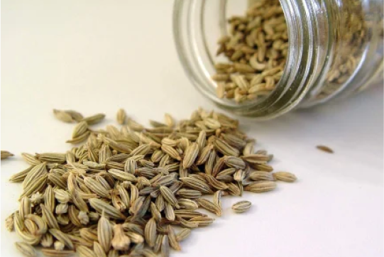 Misreya (Fennel)