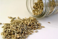 Misreya (Fennel)