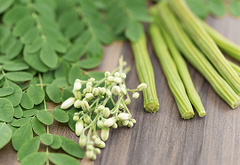 Moringa