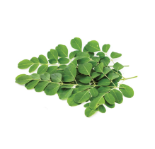 Moringa