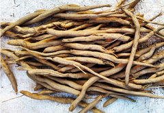 Musli