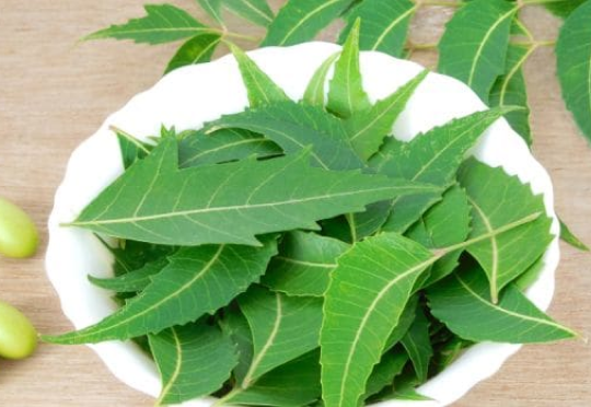 Neem
