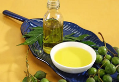 Neem Extrac