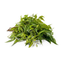 Neem