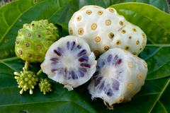 Noni