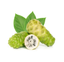 Noni Fruit (Morinda citrifolia)