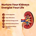 Kidney Care benefits for detox digestion and energy